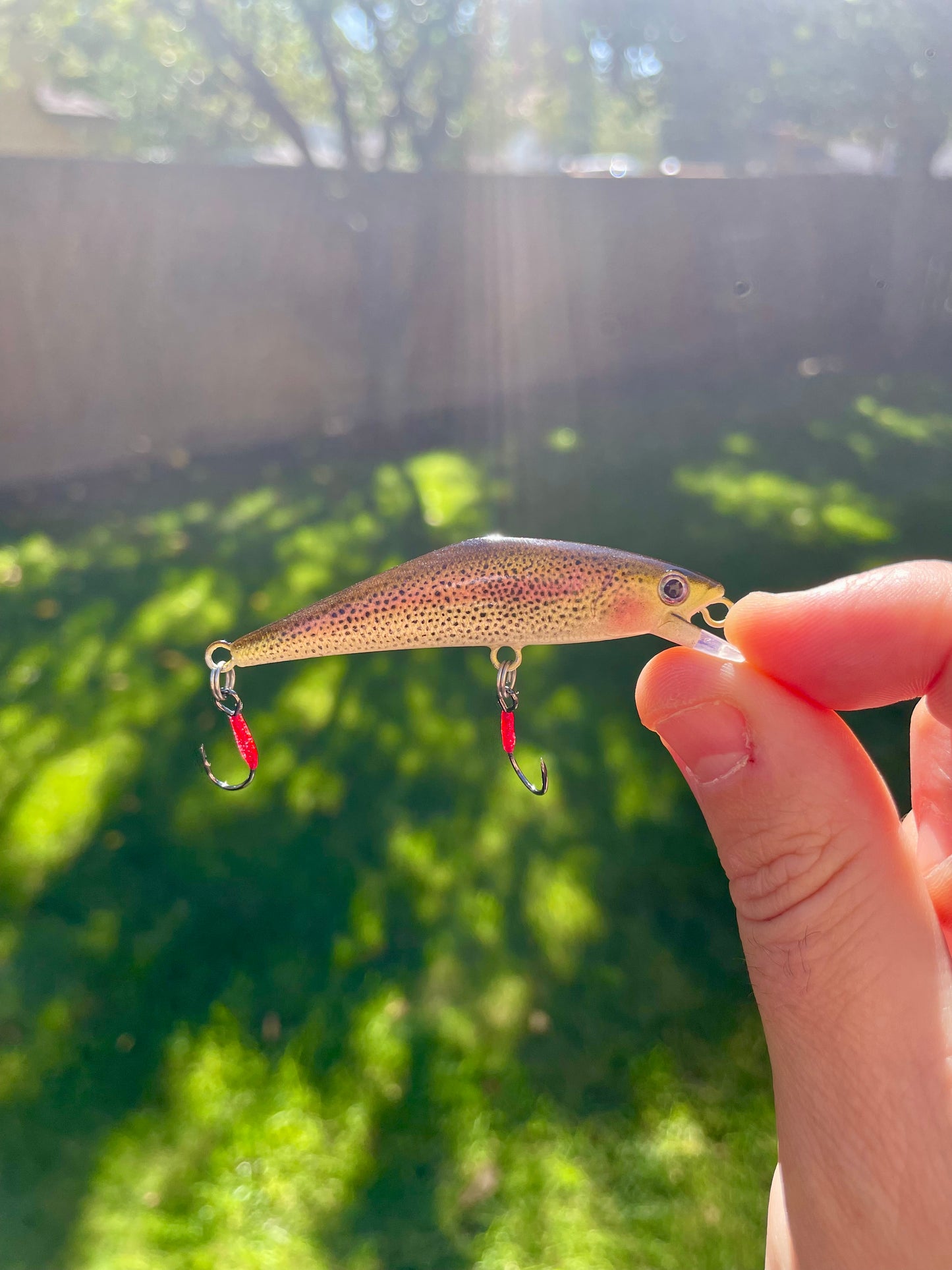 “Mystic Minnow” Rainbow Trout #2