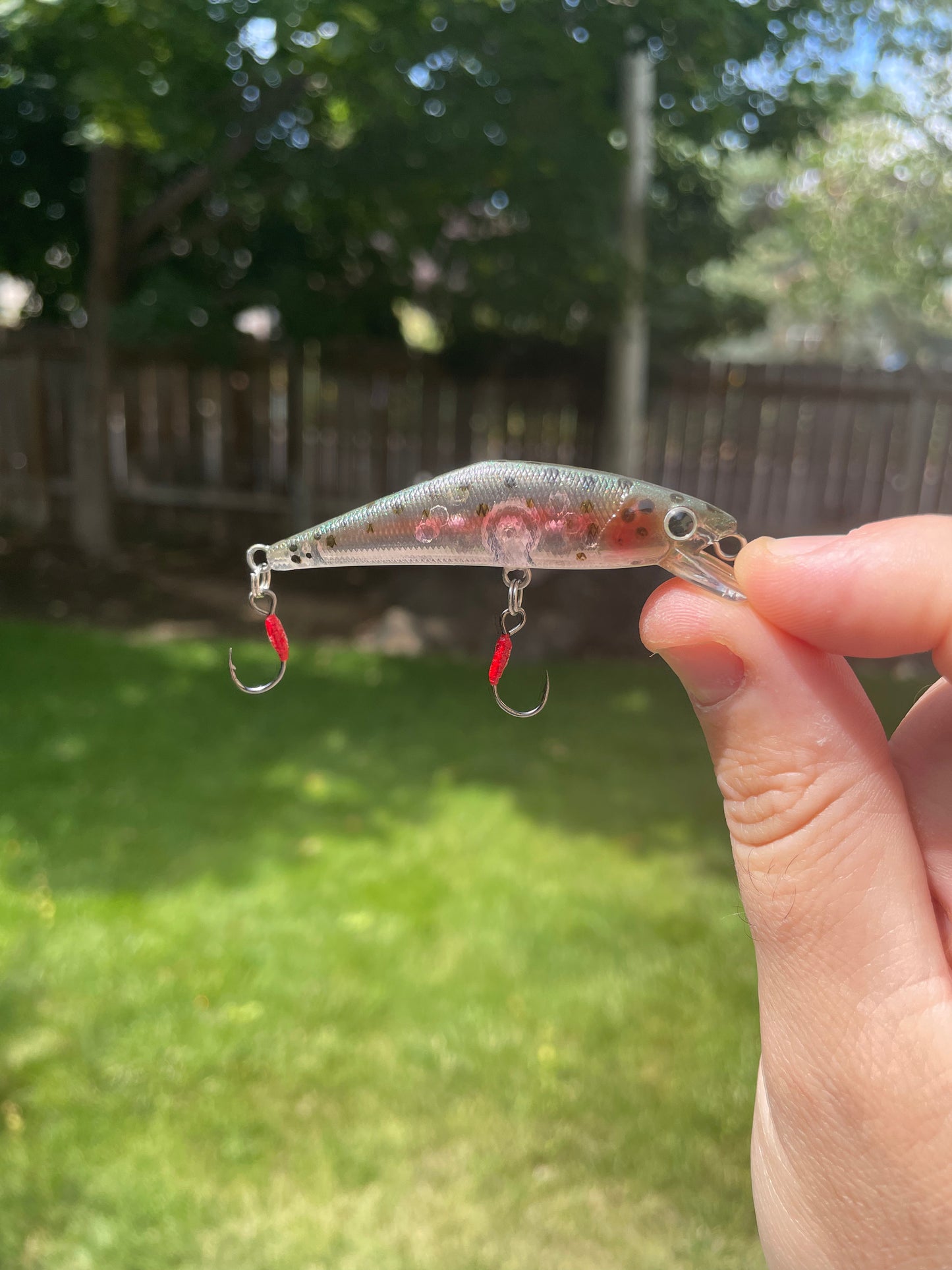 “Mystic Minnow” Rainbow Trout Jerkbait