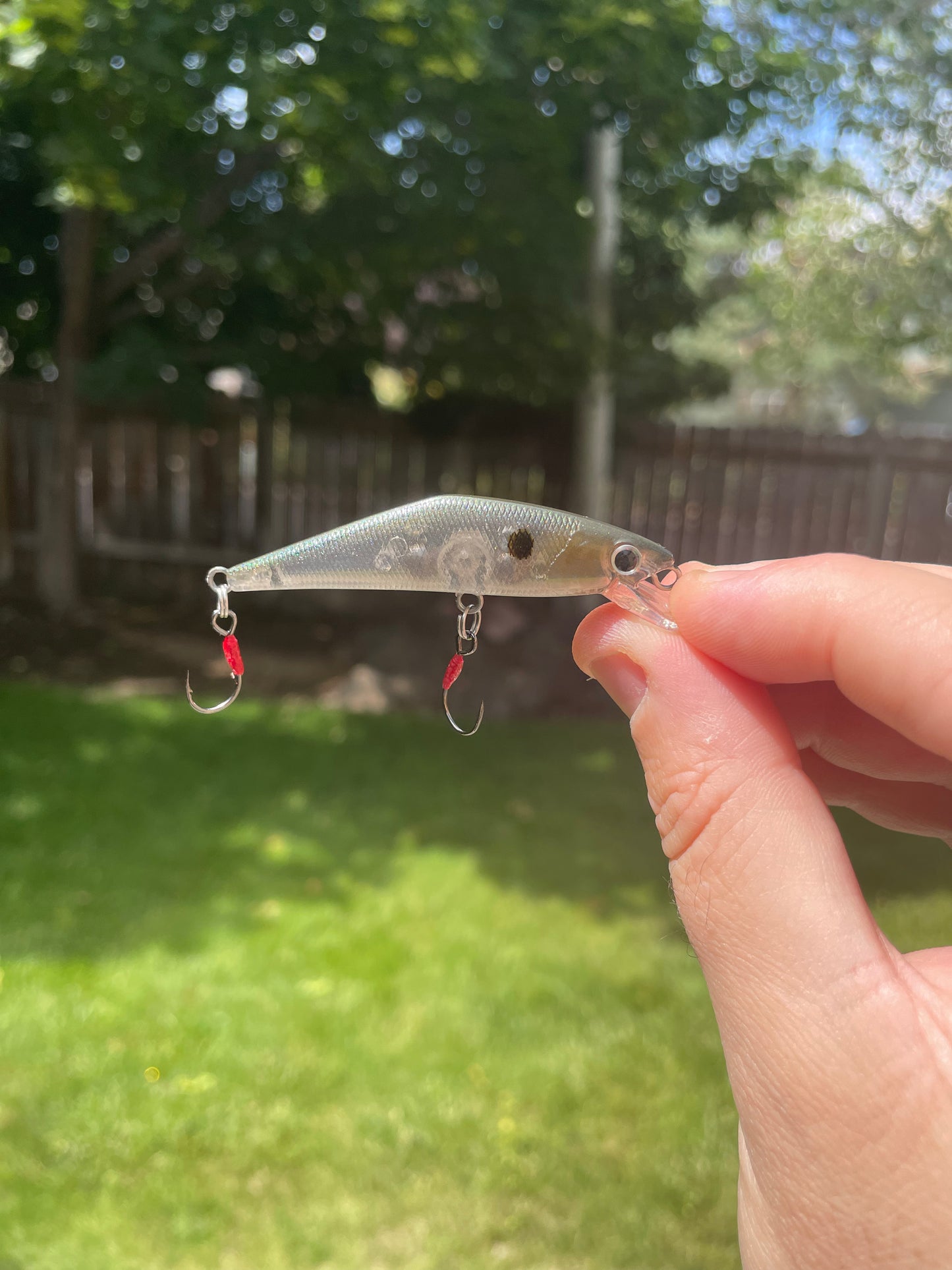 “Mystic Minnow” West Coast Shad Jerkbait
