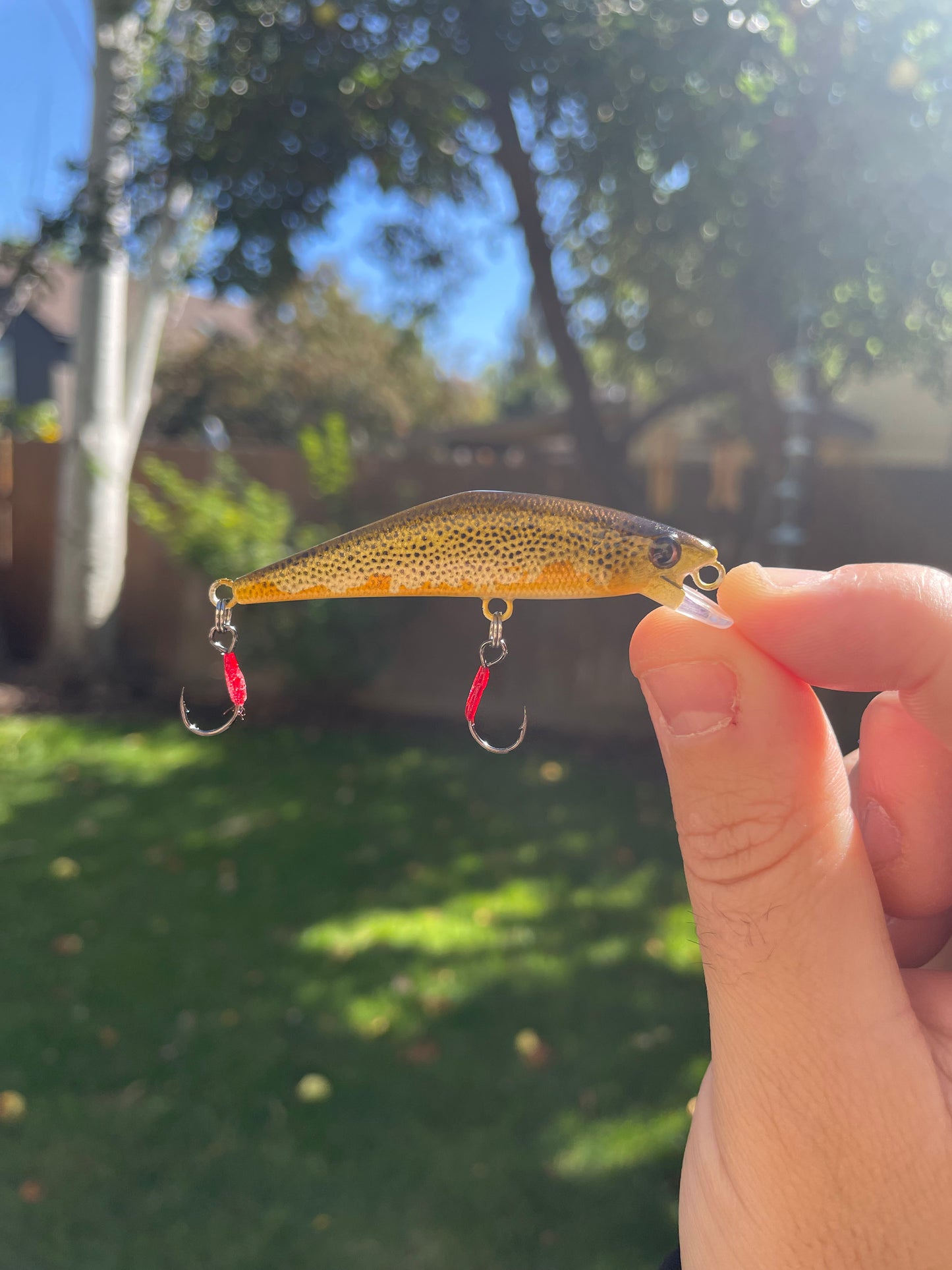 “Mystic Minnow” Brown Trout #2