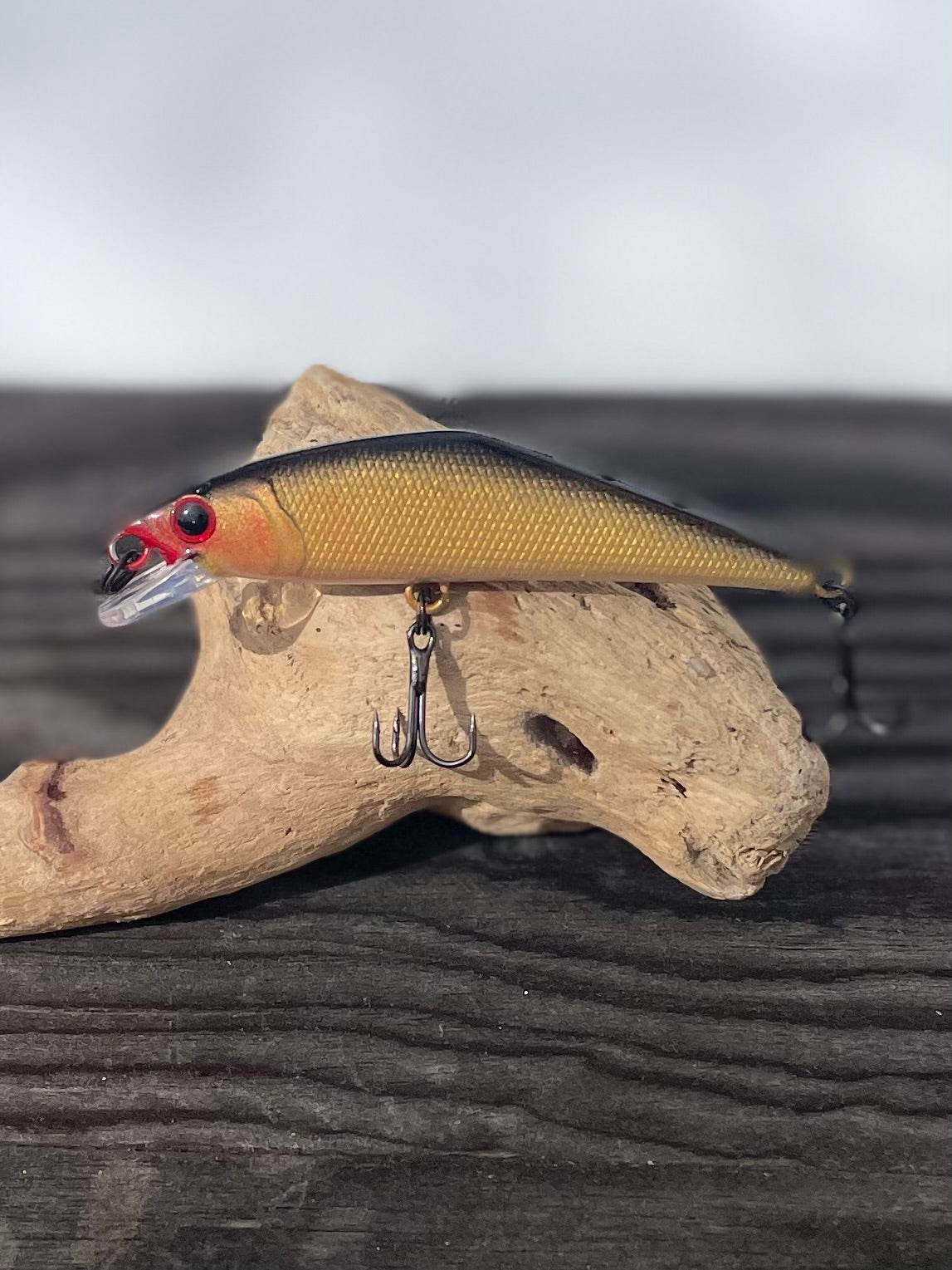 “Mystic Minnow” Fool’s Gold